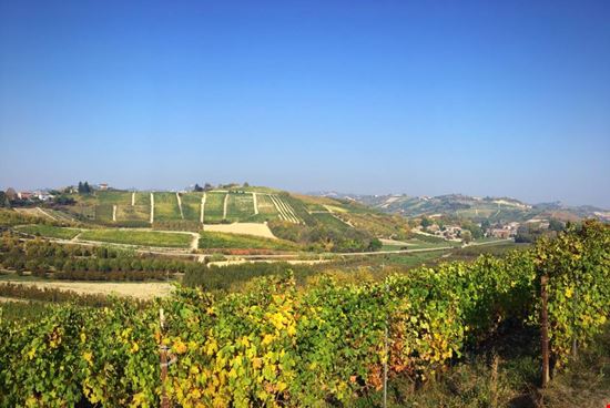Poderi Moretti panorama vigneti www.morettivini.it Monteu Roero  